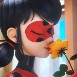 عکس از چه چیز هایی تست بسازم؟