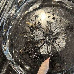 عکس ؟ ؟‌‌‌‌