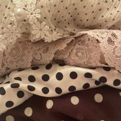 عکس لاک‌پشت🐢