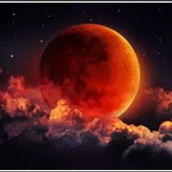 عکس منــــــــــ