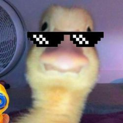 عکس من چه جوریم