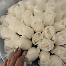 عکس کی من ( کاربر جنی رو دست داره ؟)