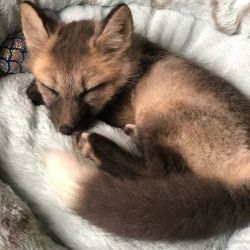 عکس nothing but trouble"