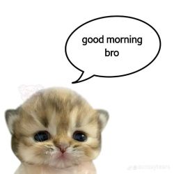 عکس :𝘔𝘦 𝘊𝘰𝘳𝘦