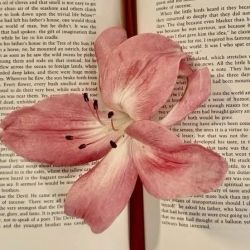 عکس claśsy girl#