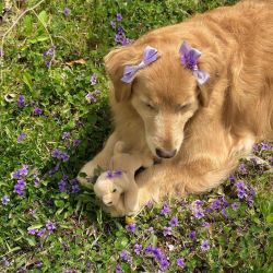 عکس 𝘕𝘦𝘷𝘦𝘳𝘭𝘢𝘯𝘥