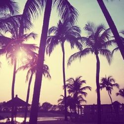 عکس 7‌‌‌‌‌‌‌‌