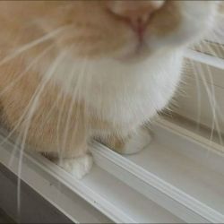 عکس iꪀ 𝗺ꪗ ꪑi𝗻d