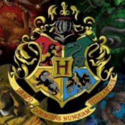 عکس کدوم گروه از هری پاتر رو دوست داری