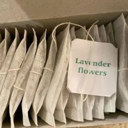 عکس ２５８‌‌‌‌‌‌;