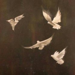 عکس دوست داری با کی کجا بری؟