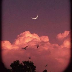 عکس ~Öffentlicher Chat♡