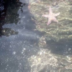 عکس Talk to me . 𐙚 ̊⊹