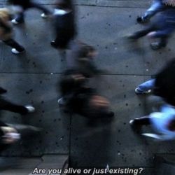 عکس (𝖿︎𝗂𝗅︎𝗅︎𝖾𝖽 𝗐𝗂𝗍𝗁︎ ᭂ(𝗉𝖺𝗋𝖺𝗌𝗂𝗍𝖾𝗌