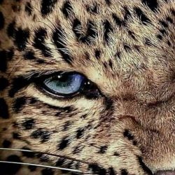 عکس 𝘉𝖺𝖻𝗒 𝑢 𝖺𝗋𝖾 , 𝗆𝗒 𝗉𝗋𝗂𝘯𝖼𝖾𝗌𝗌