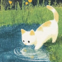 عکس چی بسازم ؟