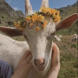 عکس 𝘍𝘰𝘳 𝘛𝘢𝘭𝘬 𝘞𝘪𝘵𝘩 𝘈𝘯𝘦𝘳