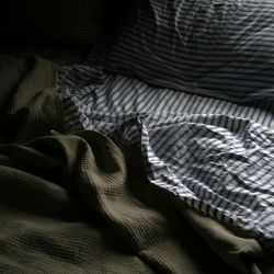 عکس یکمِ دی