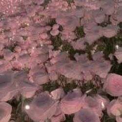 عکس A mini chat with me!