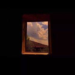 عکس 💗Speak with me