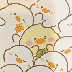 عکس داستان نویسی