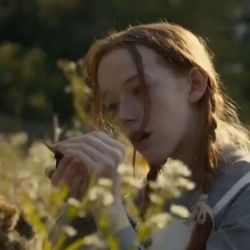 عکس 𝑮𝒊𝒍𝒊𝒍𝒊𝒍𝒊