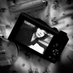 عکس 𝗣𝗶𝘀𝗶𝗼𝗻 𝘁𝗿𝗲𝗲