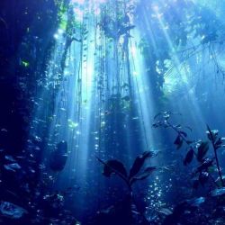 عکس 𝓽𝓪𝓵𝓴 𝓽𝓸 𝓶𝓮