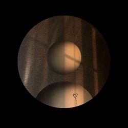 عکس کدومش؟؟؟