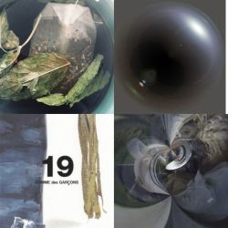 عکس ‌ ‌ ‌ ‌ ‌am.am.am