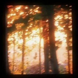 عکس 𝙰𝚞𝚝𝚞𝚖𝚗