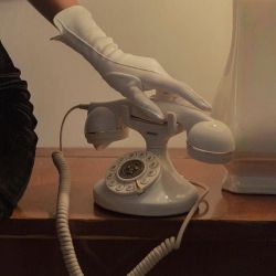 عکس ‌‌‌‌‌‌‌‌‌