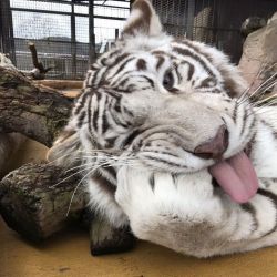 عکس 𝖡𝗎𝗍 𝗐𝗁𝖾𝗇 𝖨 𝗌𝖺𝗐 𝗒𖣠𝗎 𝖨 𝖿𝖾𝗅𝗍 𝗌𝗈𝗆𝖾𝗍𝗁𝗂𝗇𝗀 𝖨 𝗇𝖾𝗏𝖾𝗋 𝖿𝖺𝗅𝗍