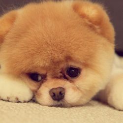 عکس دختری؟پسری