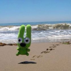 عکس crazy people never lose any game