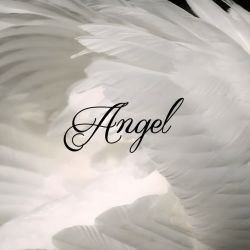 عکس ‌‌‌‌‌‌‌‌