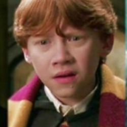 عکس برام یادگاری بزارید🌱🌿