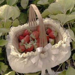 عکس 𝘕𝘦𝘷𝘦𝘳𝘭𝘢𝘯𝘥