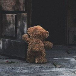 عکس 𝒕𝒆𝒅𝒅𝒚🧸𝒃𝒆𝒂𝒓