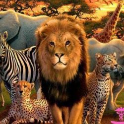 عکس کدوم حیوان را دوست دارید