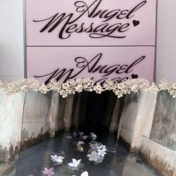 عکس Cheap thrills