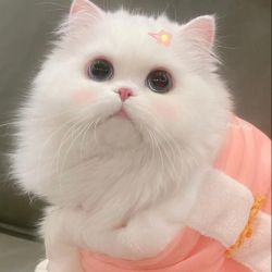 عکس یادگاری🩷