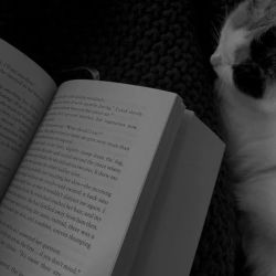 عکس Please come back chocolate