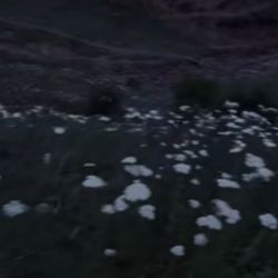 عکس چرت و پرت.