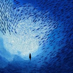 عکس درباره پیج.......🏍