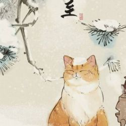 عکس از چی تست بسازم