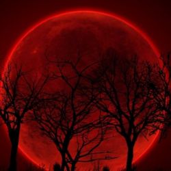 عکس .ℬ𝓁ℴℴ𝒹𝓎 𝓂ℴℴ𝓃.