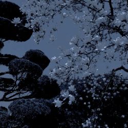 عکس 𝑟𝑢𝑛 𝑎𝑤𝑎𝑦