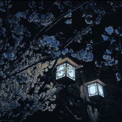 عکس 𝑡𝑢𝑛𝑛𝑙𝑒 𝑣𝑖𝑠𝑖𝑜𝑛