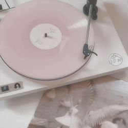 عکس کدوم عنصر؟